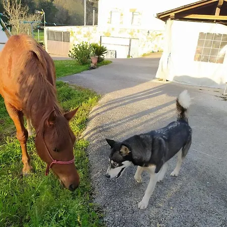 Nyaraló Casa Alvarina - Luarca