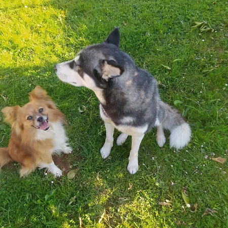 Holiday home Casa Alvarina - Luarca *