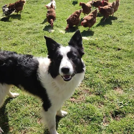 Holiday home Casa Alvarina - Luarca