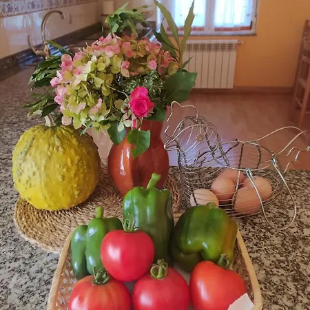 Casa Alvarina - Luarca *