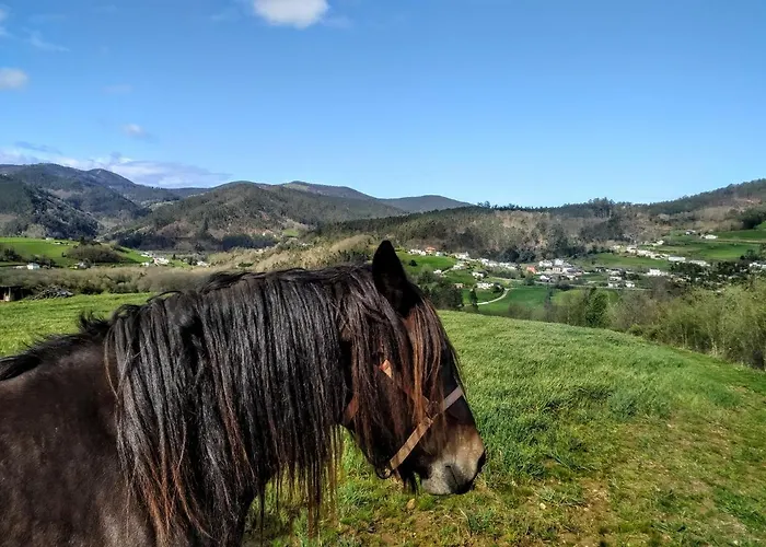 Casa Alvarina - Luarca Hébergement de vacances Cortina
