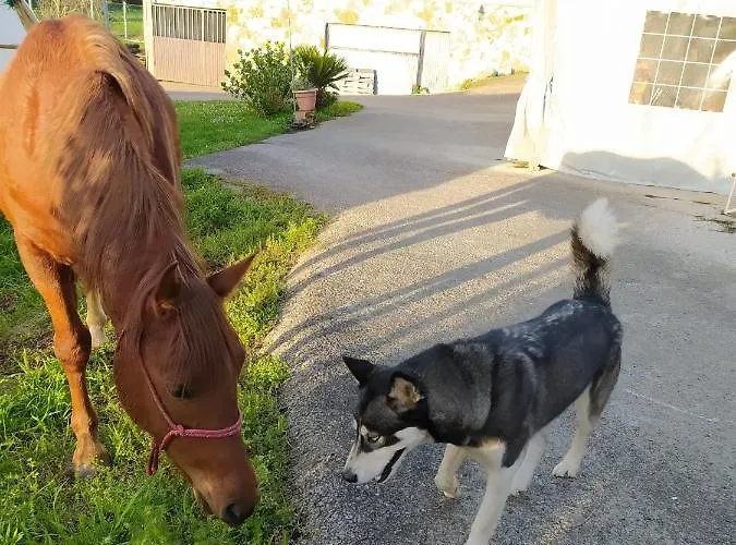 Hébergement de vacances Casa Alvarina - Luarca