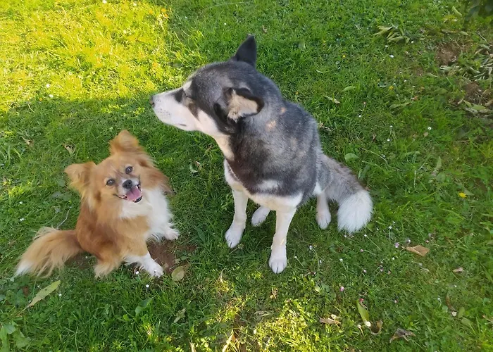 Hébergement de vacances Casa Alvarina - Luarca *