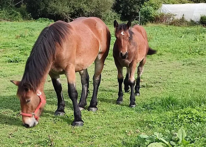 Casa Alvarina - Luarca Cortina