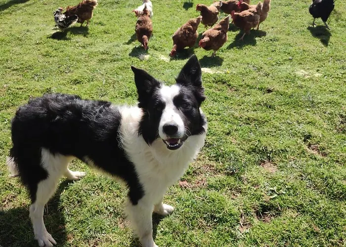 Hébergement de vacances Casa Alvarina - Luarca