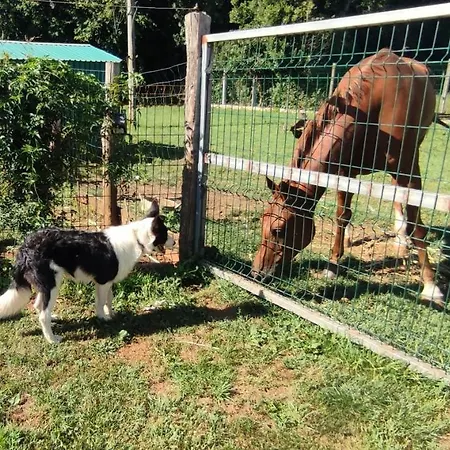 Casa Alvarina - Luarca Сasa de vacaciones